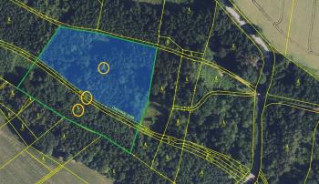 Prodáme les s potučkem v Oucmanicích